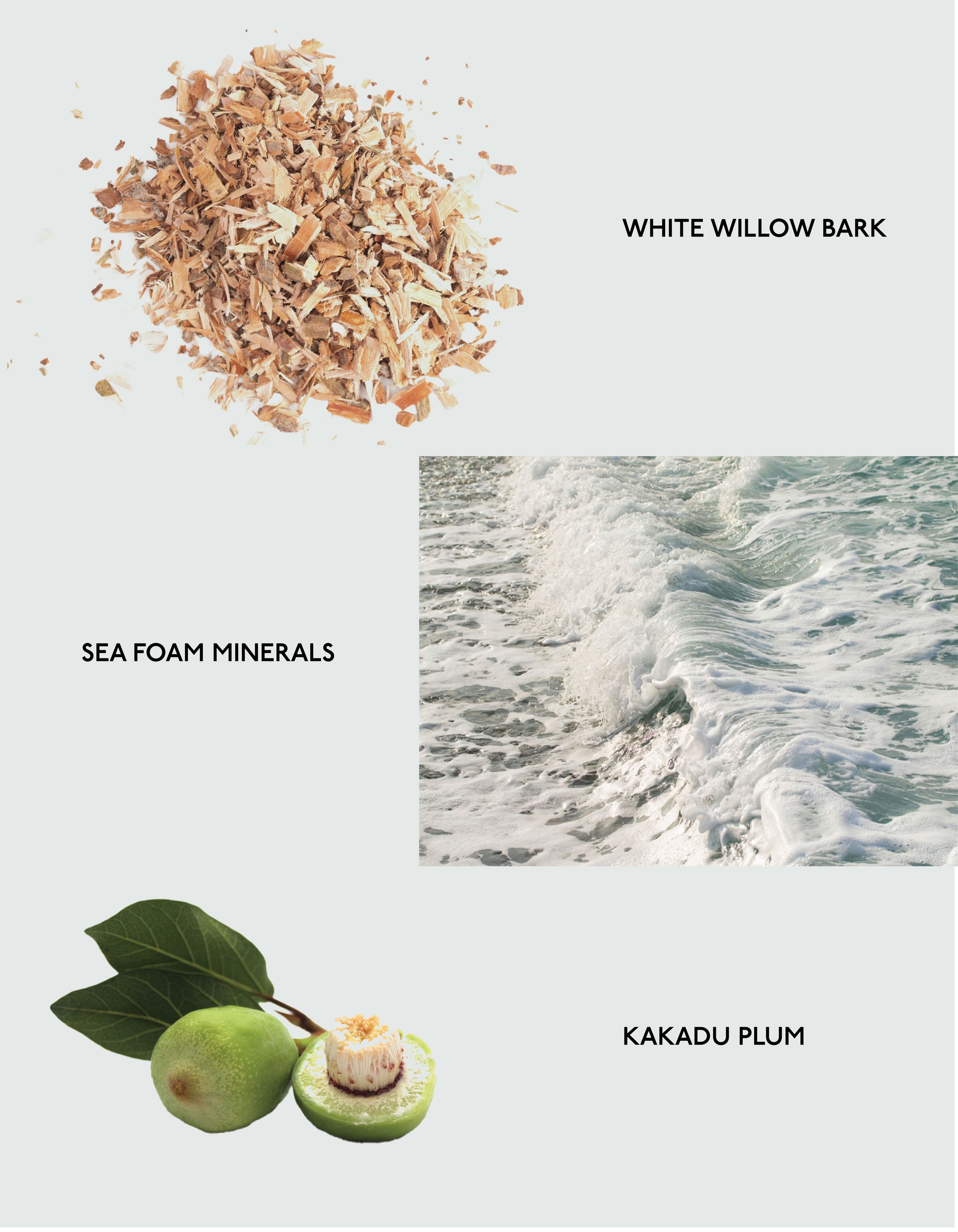 White Willow Bark, Sea form minerals, and Kakadu Plum.