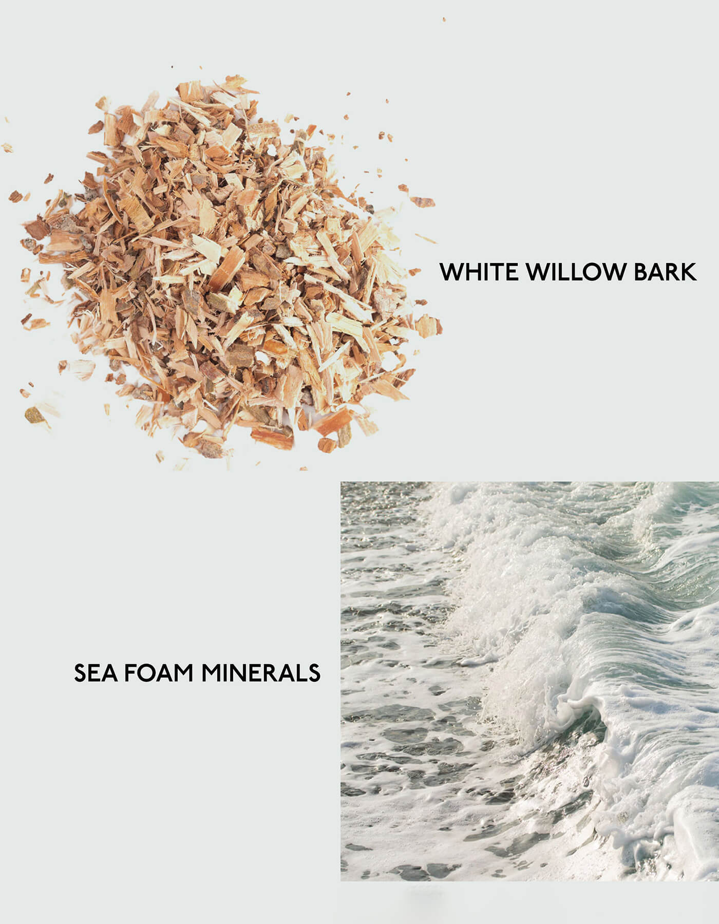 The product image for Cozy Earth's Gel Cleanser features three distinct elements: "White Willow Bark," depicted as a pile of shredded bark; "Sea Foam Minerals," represented by a frothy ocean wave |Size:Mini