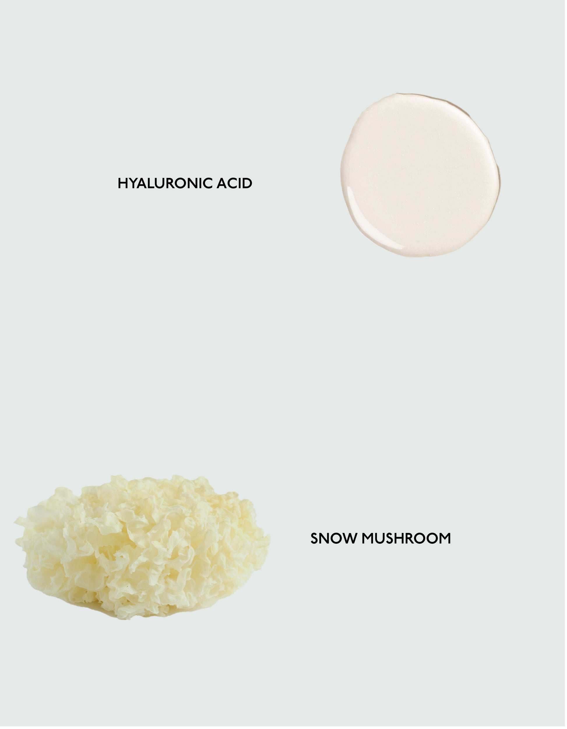 Hyaluronic Acid and Snow Mushroom